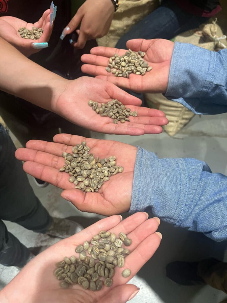 hands holding seeds